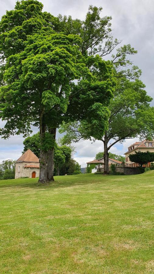 Bed and Breakfast Domaine De Montvianeix Saint-Victor-Montvianeix Esterno foto