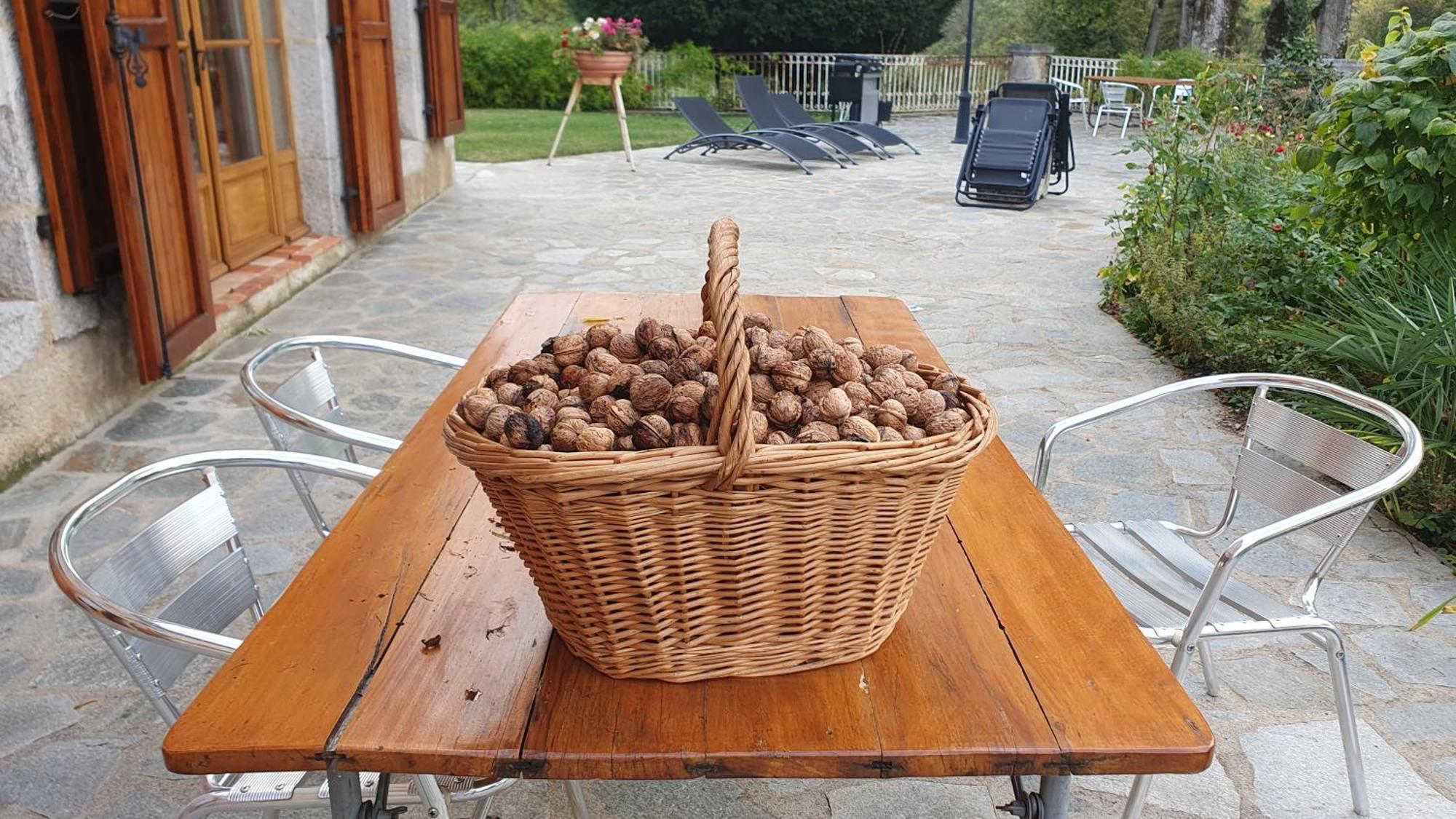 Bed and Breakfast Domaine De Montvianeix Saint-Victor-Montvianeix Esterno foto
