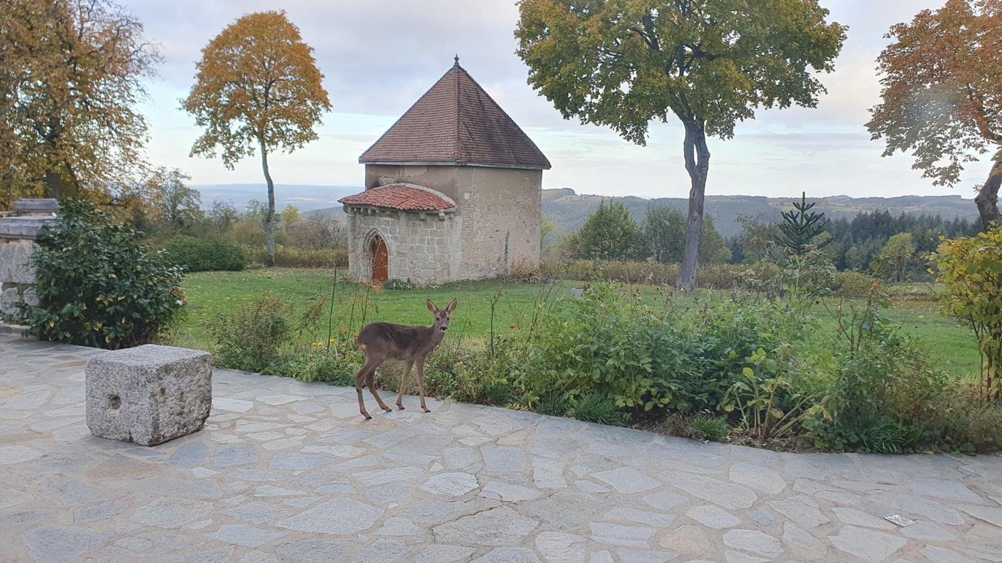 Bed and Breakfast Domaine De Montvianeix Saint-Victor-Montvianeix Esterno foto